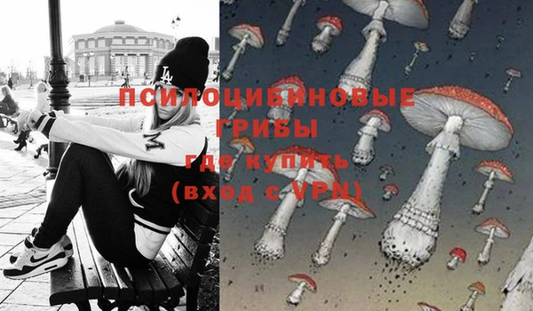 эйфоретик Богородицк