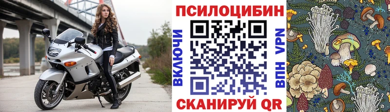 Псилоцибиновые грибы Psilocybe  Гусев 